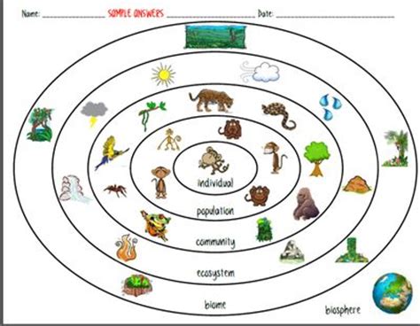 How to organize a scientific research paper